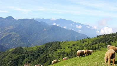 農業(yè)休閑景觀設計要抓住哪些重點