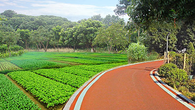 美環(huán)境，惠民生，繪就美麗圩鎮(zhèn)實(shí)景圖